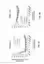Fig. 02 - Pharmaceutical formulation for bedwetting and method of use thereof