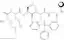 Fig. 08 - Immunomodulators