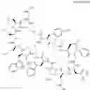 Fig. 20 - Immunomodulators