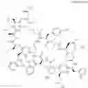 Fig. 22 - Immunomodulators