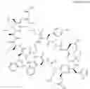Fig. 24 - Immunomodulators