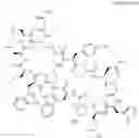 Fig. 25 - Immunomodulators