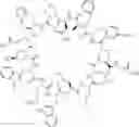 Fig. 30 - Immunomodulators