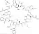 Fig. 32 - Immunomodulators