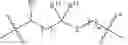 Fig. 55 - Immunomodulators