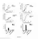 Fig. 04 - IMMUNOSUPPRESSIVE COMPONENTS ASSOCIATED WITH RETROVIRAL REPLICATING VECTORS