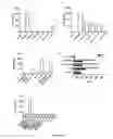 Fig. 13 - IMMUNOSUPPRESSIVE COMPONENTS ASSOCIATED WITH RETROVIRAL REPLICATING VECTORS