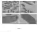 Fig. 11 - Compositions and uses of lectins