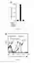 Fig. 14 - Compositions and uses of lectins