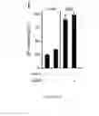Fig. 27 - Compositions and uses of lectins