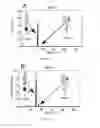 Fig. 28 - Compositions and uses of lectins