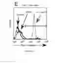 Fig. 40 - Compositions and uses of lectins