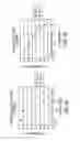Fig. 05 - Chimeric Immunoreceptor Useful in Treating Human Cancers