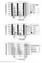Fig. 08 - Chimeric Immunoreceptor Useful in Treating Human Cancers