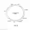 Fig. 14 - Chimeric Immunoreceptor Useful in Treating Human Cancers