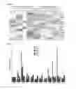 Fig. 06 - COMPOITIONS AND METHODS FOR MODULATING THERMOGENESIS USING PTH-RELATED AND EGF-RELATED COMPOUNDS