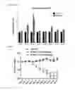 Fig. 15 - COMPOITIONS AND METHODS FOR MODULATING THERMOGENESIS USING PTH-RELATED AND EGF-RELATED COMPOUNDS