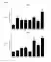 Fig. 19 - COMPOITIONS AND METHODS FOR MODULATING THERMOGENESIS USING PTH-RELATED AND EGF-RELATED COMPOUNDS