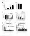 Fig. 21 - COMPOITIONS AND METHODS FOR MODULATING THERMOGENESIS USING PTH-RELATED AND EGF-RELATED COMPOUNDS