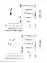 Fig. 10 - Methods and compositions using for enhancing immunogenicity by prime boost