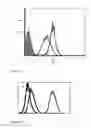 Fig. 05 - Allogeneic tumor cell vaccination