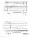 Fig. 06 - IMMUNOGENIC COMPOSITIONS AGAINST TUBERCULOSIS