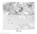 Fig. 22 - IMMUNOGENIC COMPOSITIONS AGAINST TUBERCULOSIS