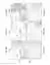 Fig. 28 - IMMUNOGENIC COMPOSITIONS AGAINST TUBERCULOSIS