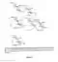 Fig. 04 - Glycan conjugates and use thereof
