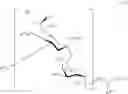 Fig. 110 - Glycan conjugates and use thereof