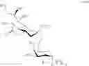 Fig. 24 - Glycan conjugates and use thereof