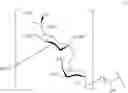 Fig. 26 - Glycan conjugates and use thereof