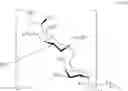 Fig. 74 - Glycan conjugates and use thereof