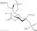 Fig. 82 - Glycan conjugates and use thereof