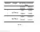 Fig. 09 - COMPOSITIONS FOR MUCUSAL DELIVERY, USEFUL FOR TREATING PAPILLOMAVIRUS INFECTIONS
