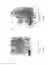 Fig. 10 - VACCINE AND DRUG DELIVERY BY INTRANASAL APPLICATION OF VECTOR AND VECTOR EXTRACTS