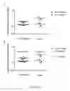 Fig. 13 - Immunotherapy composition and use thereof