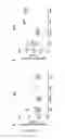Fig. 20 - Immunotherapy composition and use thereof