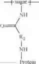 Fig. 08 - MODIFIED POLYSACCHARIDES FOR CONJUGATE VACCINES