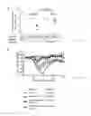 Fig. 10 - Vaccine Composition