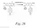 Fig. 26 - Systems, Methods, and Compositions For Cross-Linking Treatments of an Eye