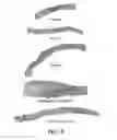 Fig. 13 - Biomaterials and a method for making and using same