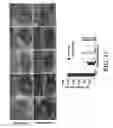 Fig. 16 - Biomaterials and a method for making and using same