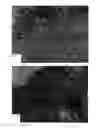 Fig. 19 - Biomaterials and a method for making and using same