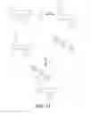 Fig. 22 - Biomaterials and a method for making and using same