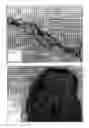 Fig. 24 - Biomaterials and a method for making and using same