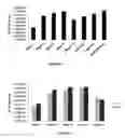 Fig. 06 - Nanocomplex containing amphipathic peptide useful for efficient transfection of biomolecules
