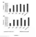 Fig. 07 - Nanocomplex containing amphipathic peptide useful for efficient transfection of biomolecules