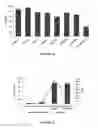 Fig. 09 - Nanocomplex containing amphipathic peptide useful for efficient transfection of biomolecules