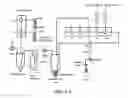 Fig. 06 - Pet imaging of zinc transport